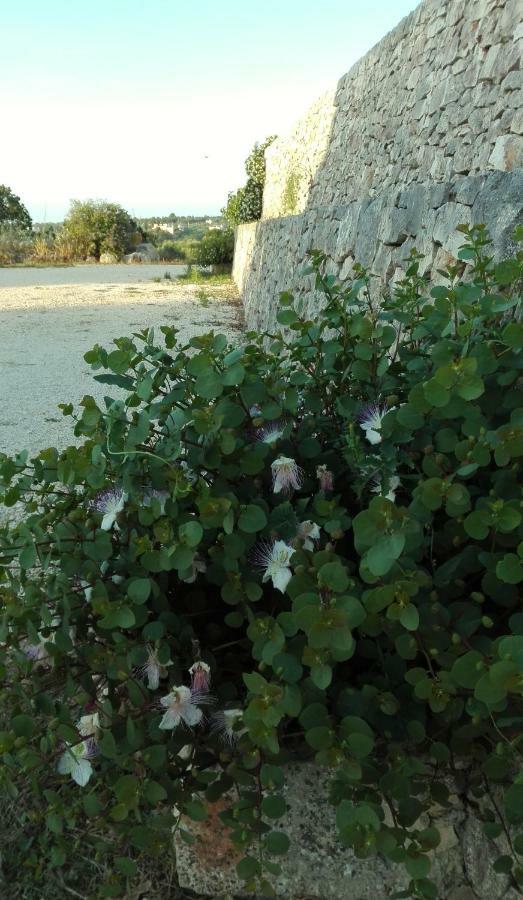Il Trulletto Del Sognatore Monopoli Exterior foto